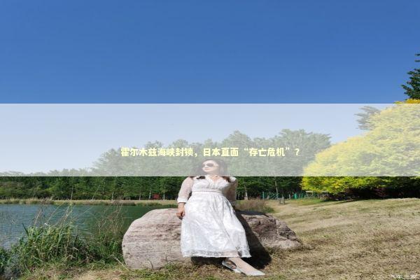 霍尔木兹海峡封锁，日本直面“存亡危机”？ 新闻