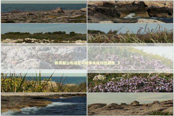 商务部公布调整对加拿大反歧视措施_2 新闻