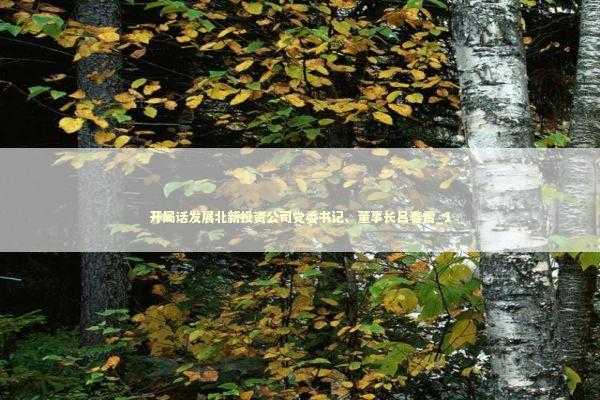 开局话发展北新投资公司党委书记、董事长吕春雷_1 新闻