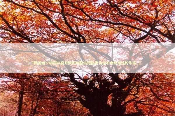 杨德龙:中东冲突升级影响股市短期走势但不会终结这轮牛市_1 杨德龙:中东冲突升级影响股市短期走势但不会终结这轮牛市_1 新闻