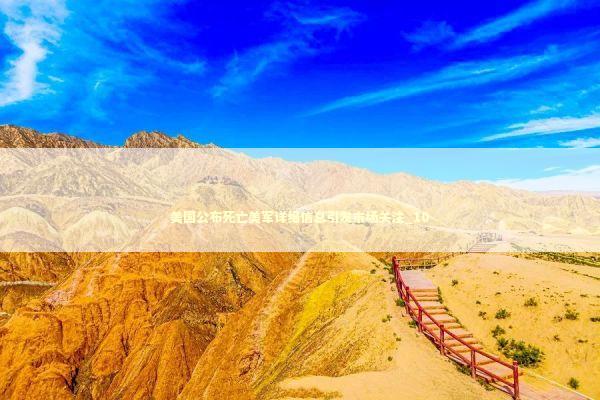 美国公布死亡美军详细信息引发市场关注_10 新闻