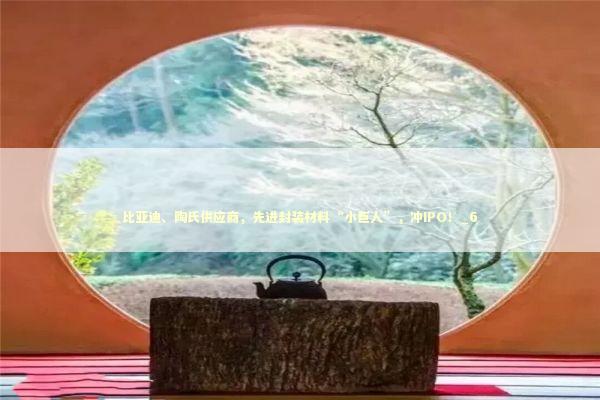 比亚迪、陶氏供应商，先进封装材料“小巨人”，冲IPO！_6 新闻