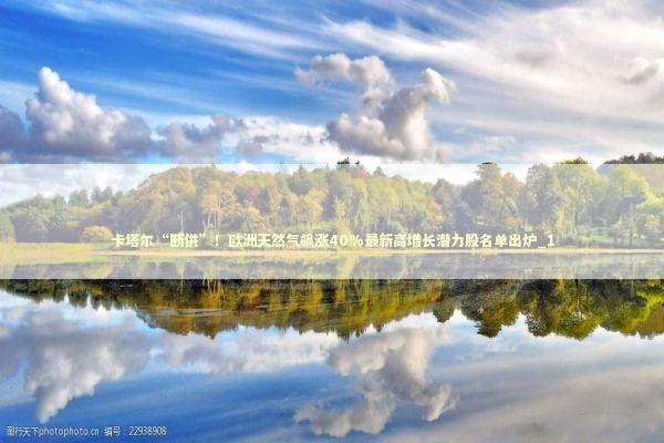 卡塔尔“断供”！欧洲天然气飙涨40%最新高增长潜力股名单出炉_1 新闻