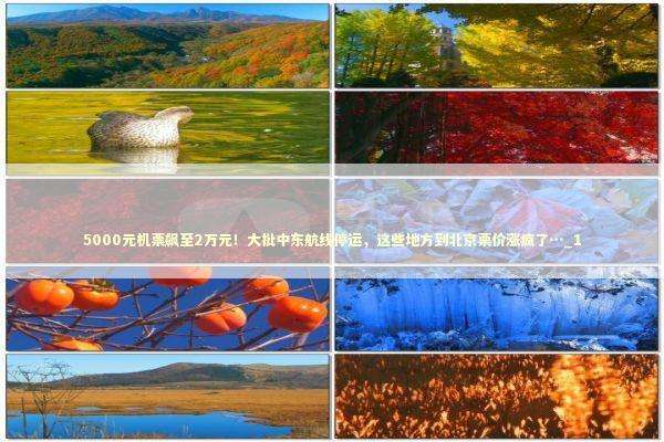 5000元机票飙至2万元！大批中东航线停运，这些地方到北京票价涨疯了…_1 新闻