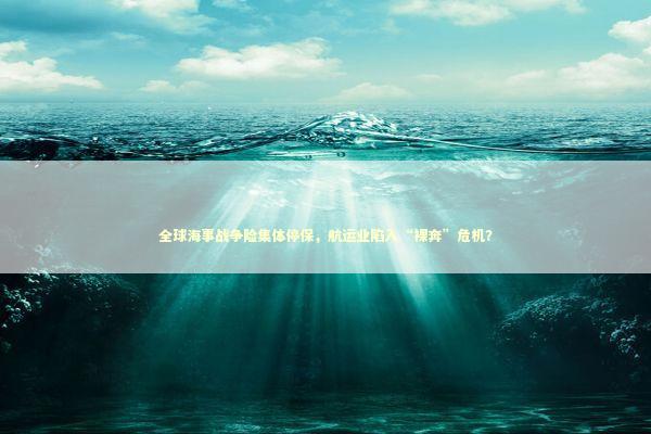 全球海事战争险集体停保，航运业陷入“裸奔”危机？ 新闻