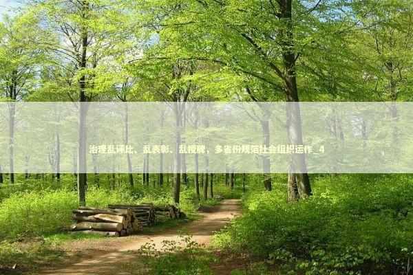 治理乱评比、乱表彰、乱授牌，多省份规范社会组织运作_4 新闻