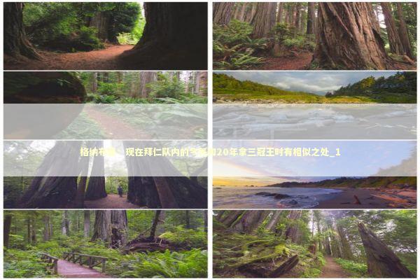 格纳布里：现在拜仁队内的气氛和20年拿三冠王时有相似之处_1 新闻