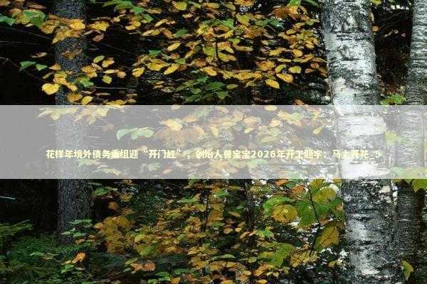 花样年境外债务重组迎“开门红”,创始人曾宝宝2026年开工题字:马上开花_5 花样年境外债务重组迎“开门红”,创始人曾宝宝2026年开工题字:马上开花_5 新闻