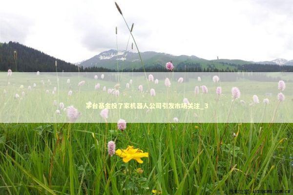 茅台基金投了家机器人公司引发市场关注_3 新闻