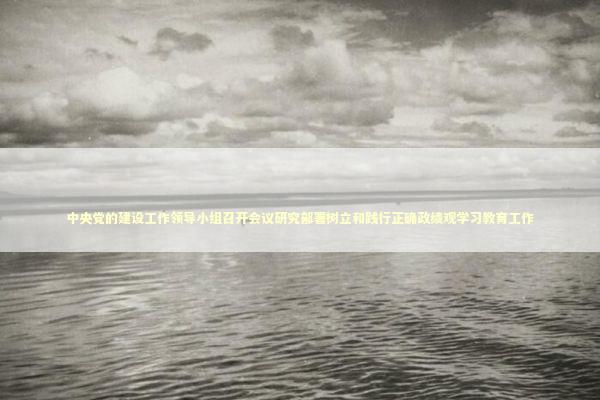 中央党的建设工作领导小组召开会议研究部署树立和践行正确政绩观学习教育工作 新闻
