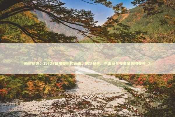 威胜信息：2月28日接受机构调研，鹏华基金、中海基金等多家机构参与_3 新闻