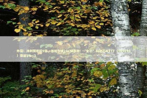 炸裂!净利预增超9倍,佰维存储20CM涨停!“全芯”科创芯片ETF(589190)涨逾1%_3 炸裂!净利预增超9倍,佰维存储20CM涨停!“全芯”科创芯片ETF(589190)涨逾1%_3 新闻