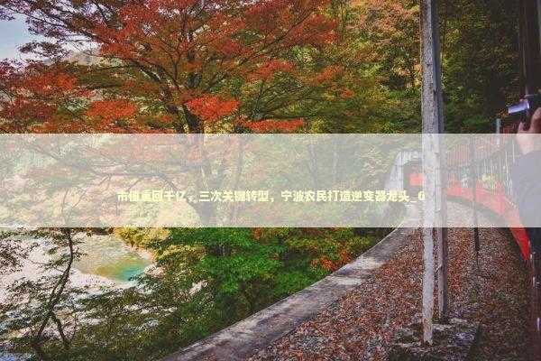 市值重回千亿，三次关键转型，宁波农民打造逆变器龙头_6 新闻