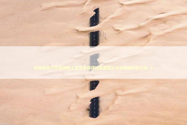 欧洲天然气价格持稳上涨交易商评估美国霍尔木兹海峡护航计划_2 新闻