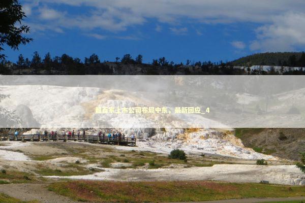 超百家上市公司布局中东，最新回应_4 新闻