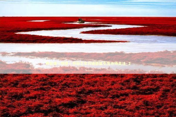 两会第一观察丨开局之年共谱新篇引发市场关注_2 新闻