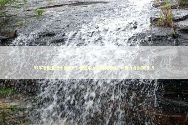 52家鲁股业绩快报出炉！营业收入净利润双增，AI算力龙头领跑_5 新闻