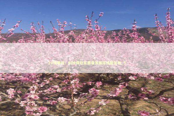 20项举措！科技保险高质量发展路线图发布_5 新闻