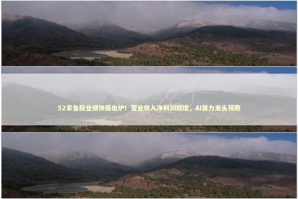 52家鲁股业绩快报出炉！营业收入净利润双增，AI算力龙头领跑 新闻