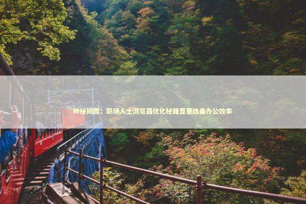 神秘揭露：职场人士浏览器优化秘籍显著改善办公效率 新闻