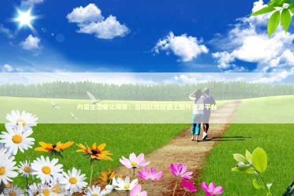内容生态变化观察：当网红效应遇上图片资源平台 新闻