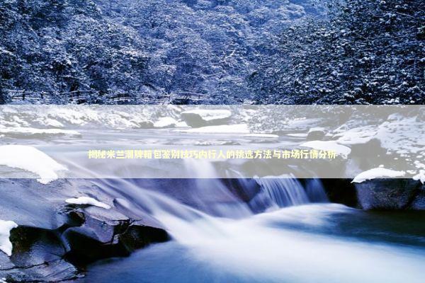 揭秘米兰潮牌箱包鉴别技巧内行人的挑选方法与市场行情分析