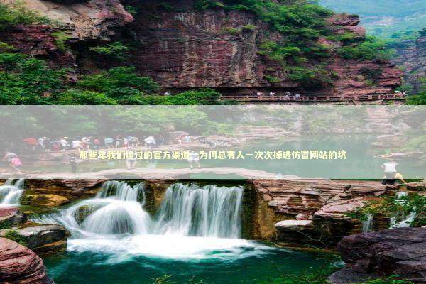 那些年我们追过的官方渠道：为何总有人一次次掉进仿冒网站的坑