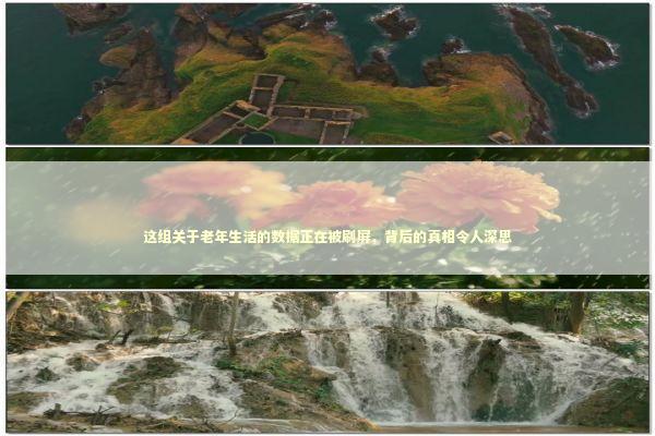 这组关于老年生活的数据正在被刷屏，背后的真相令人深思 新闻