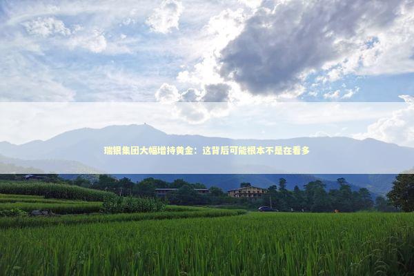 瑞银集团大幅增持黄金：这背后可能根本不是在看多 股票财经