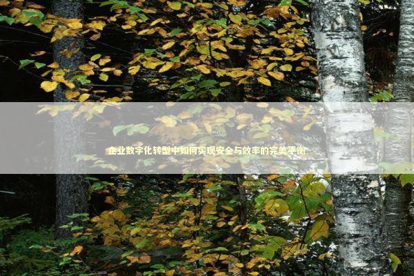 企业数字化转型中如何实现安全与效率的完美平衡 IT技术